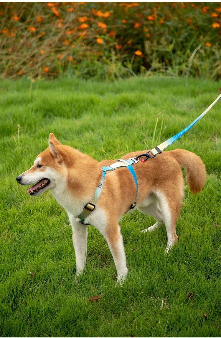 Stylish Adjustable Nylon Dog Harness