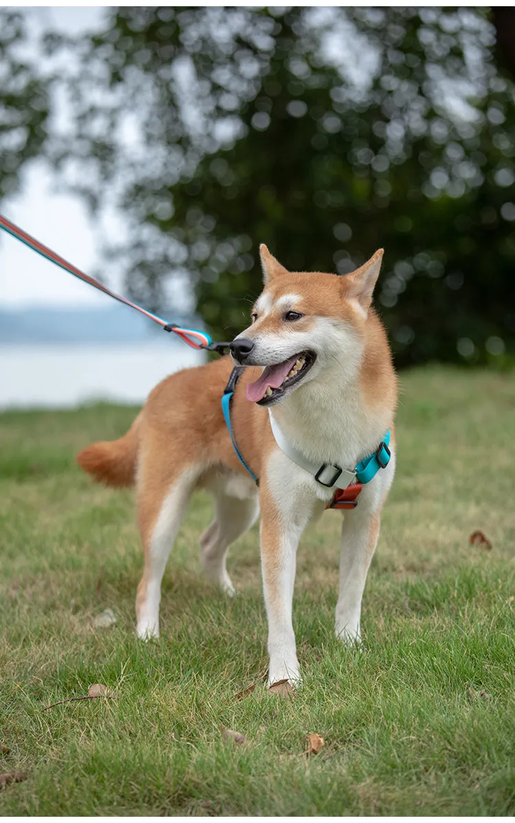 Stylish Adjustable Nylon Dog Harness