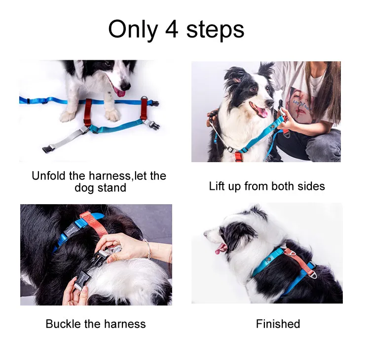 Stylish Adjustable Nylon Dog Harness