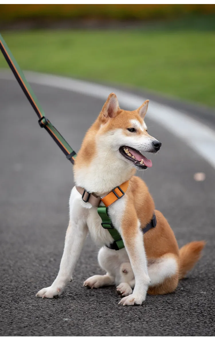 Stylish Adjustable Nylon Dog Harness