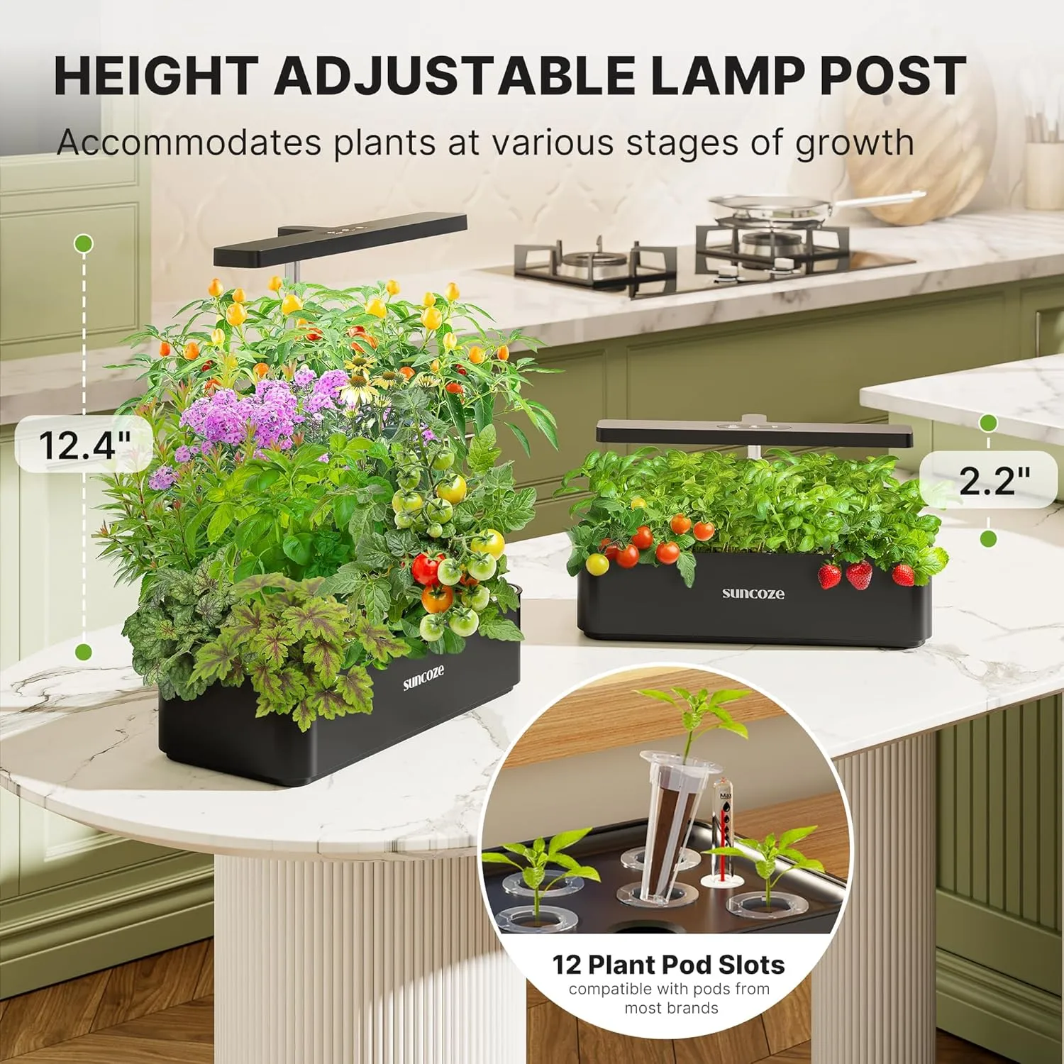 SUNCOZE Hydroponics Growing System Kit 12 Pods, 24W LED Grow Light Indoor Garden, 4L Water Tank with Quiet Pump, Adjustable Height Herb Garden Planter Indoor Kit, Gardening Gifts, Black