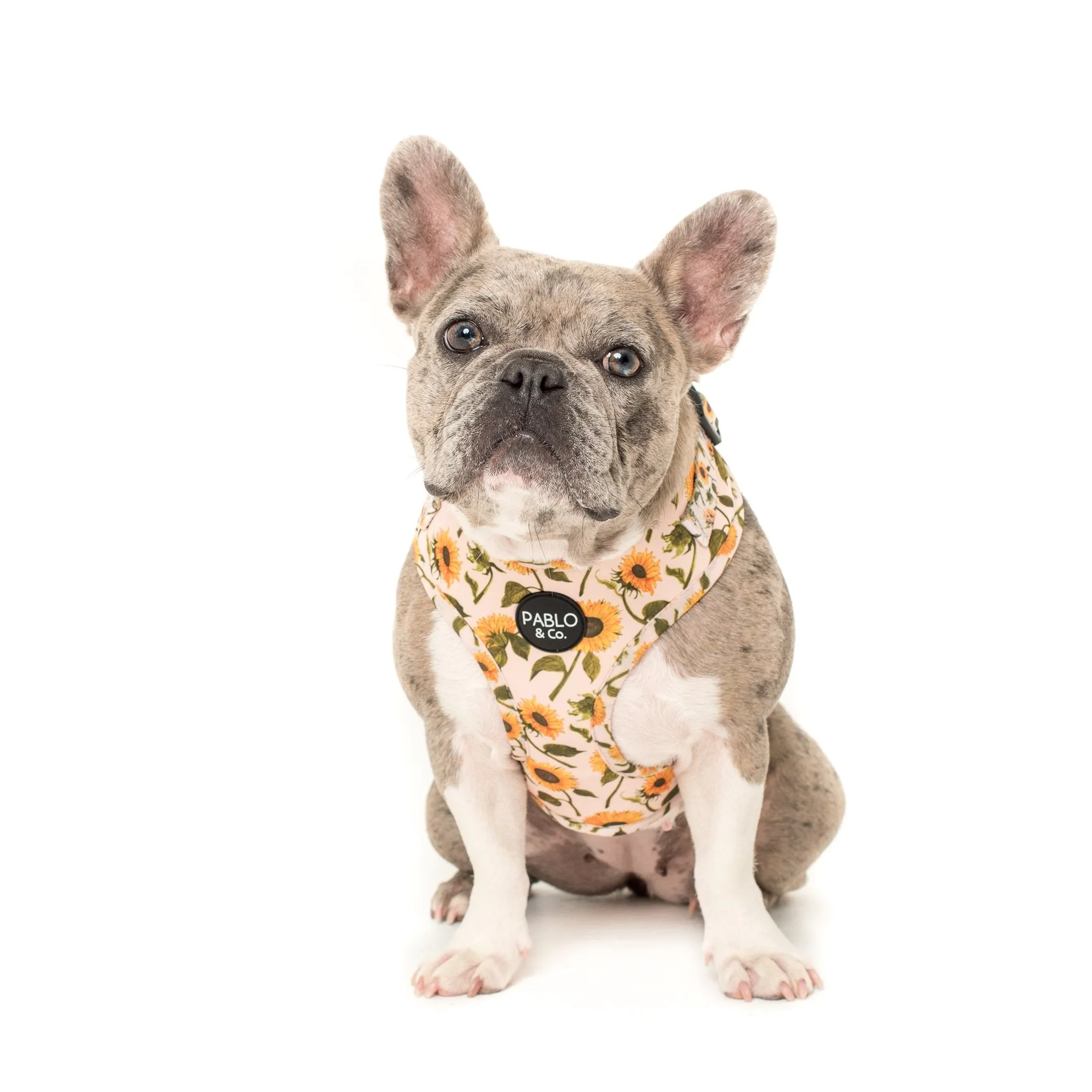 Sunflowers Harness
