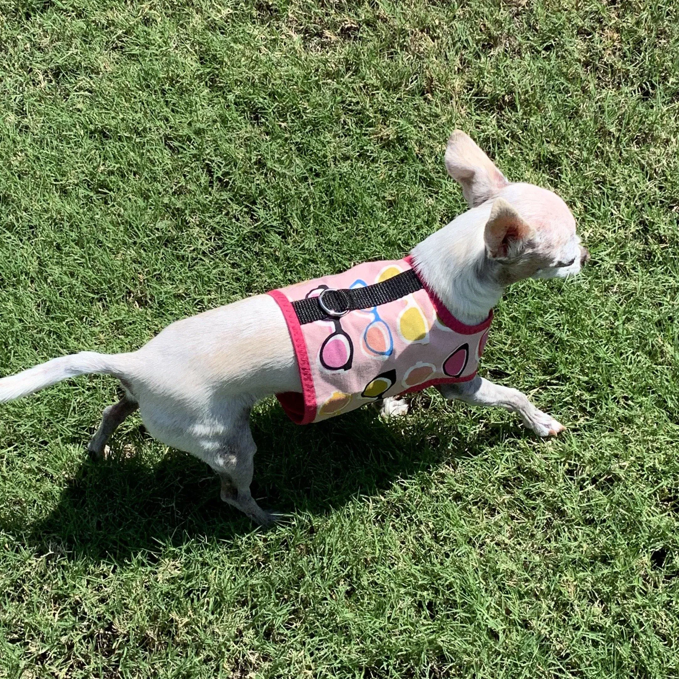 Sunglasses Print Dog Vest Harness