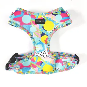 Sunny Days - Adjustable dog Harness