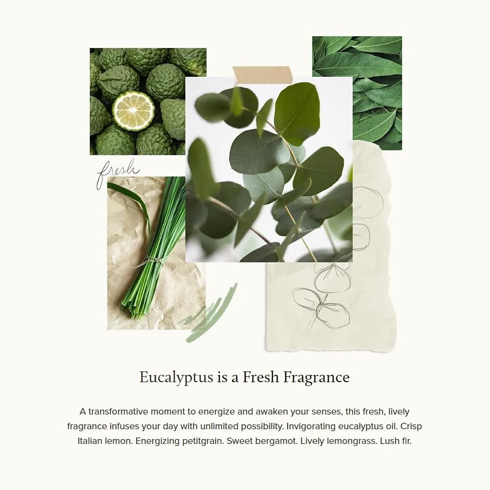 Thymes Daily Shower Spray for a Spa Like Experience - Home Essentials - Mist Scented with Eucalyptus Oil, Italian Lemon, Bergamot & Lemongrass (Eucalyptus Shower Spray, 3.4 fl oz)