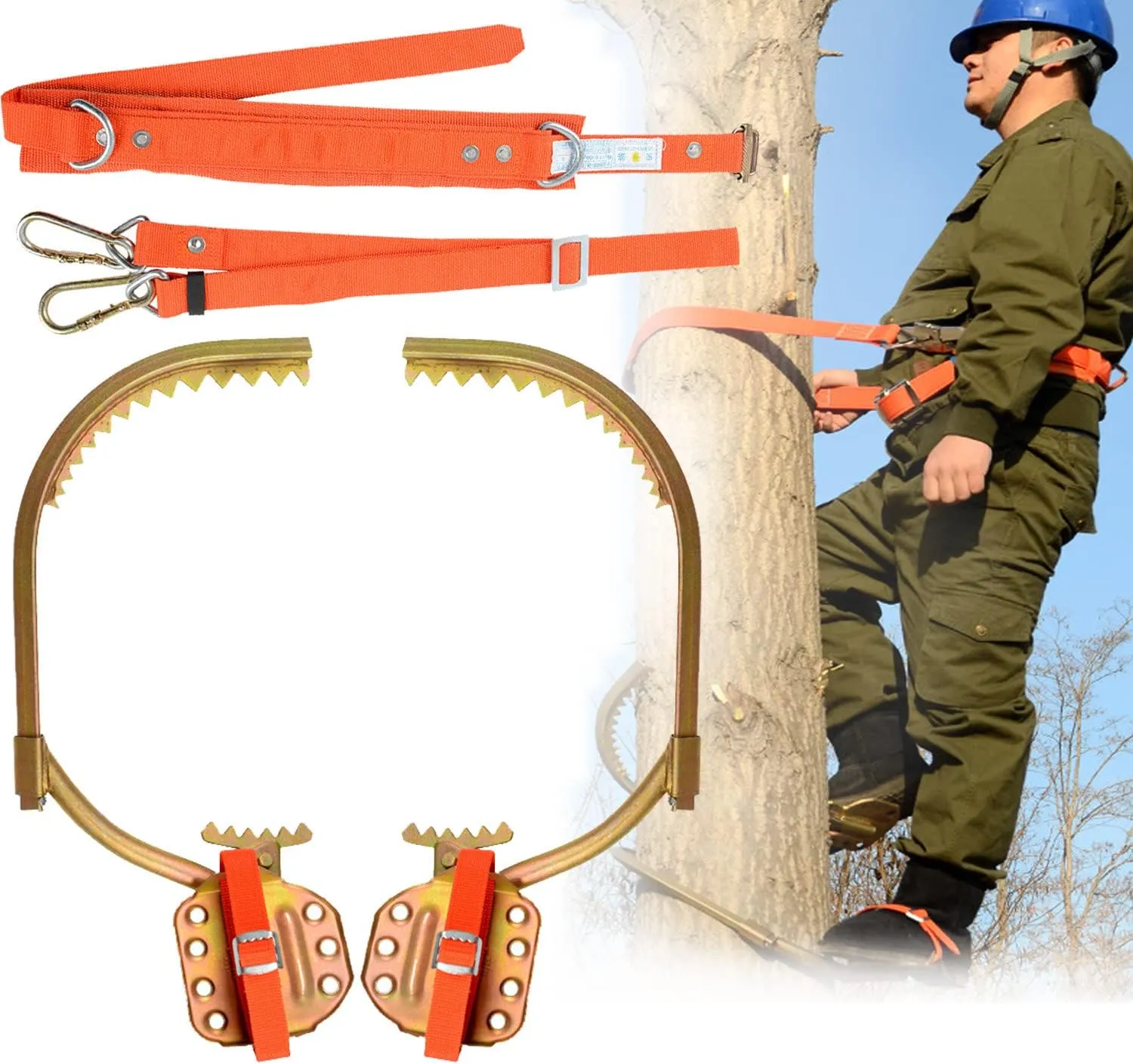 Tree Climbing Spikes, Adjustable Non-Slip Pole Climbing Gear with Safety Harness, Picking Fruit,Climbing Tree Spikes for High Altitude Logging,Type250