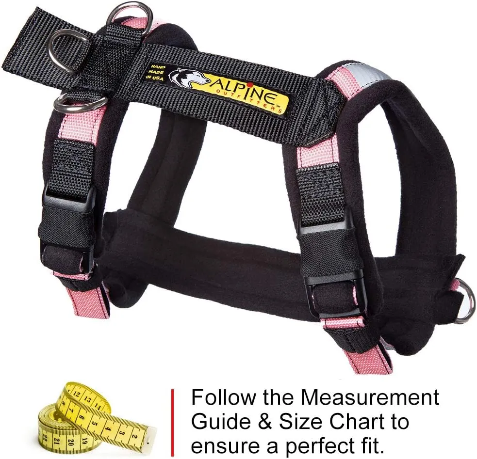 Urban Trail Adjustable Harness