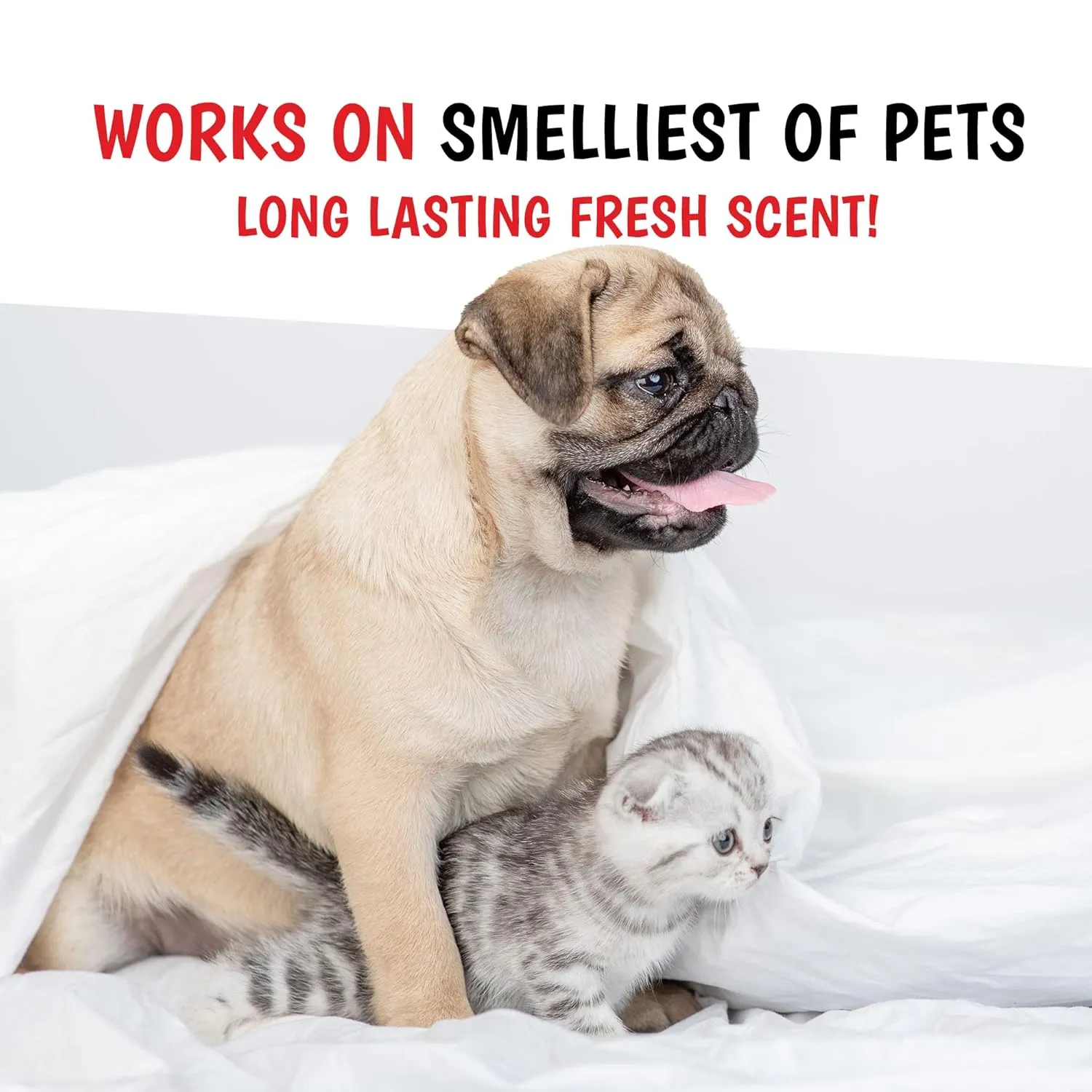 Warren London - Wet Kiss Dog Cologne, Long Lasting Dog Spray, Dog Deodorant to Remove Odor from Stinky Dogs, Milk & Honey, 16 Ounce Bottle