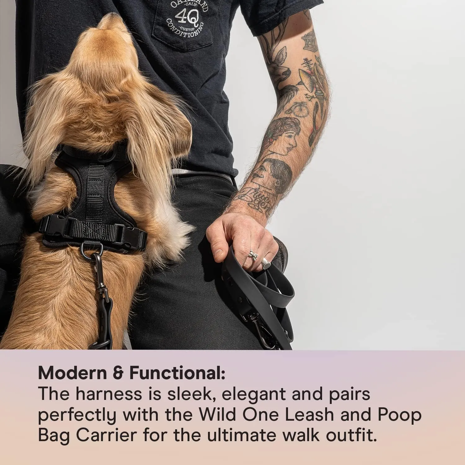 Wild One Dog Harness, The Original No-Pull, Pet Harness with 3 Leash Clips, Adjustable Soft Padded Vest, Comfortable, Stretchy, Size S, Black