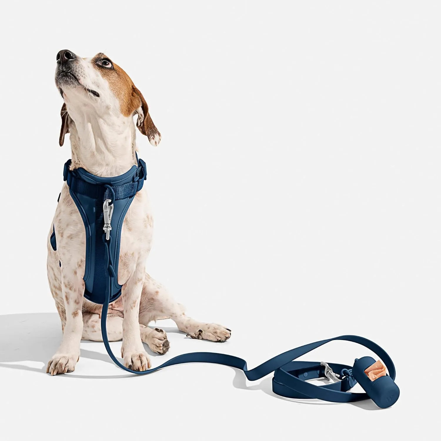 Wild One Harness 2.0 - Medium - Blue