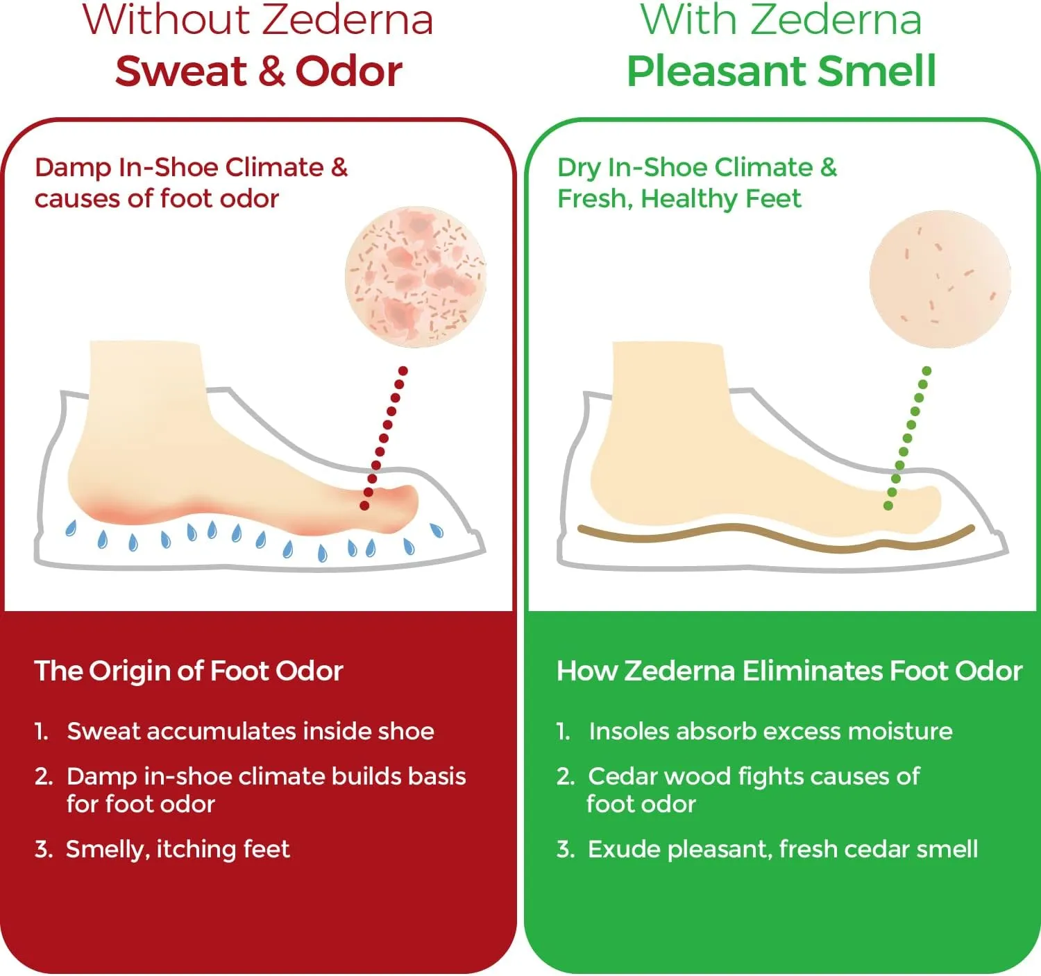 Zederna Cedar Wood Shoe Insoles 1 Pair, Cedar/RedUS M 5/ W 6.5/ EU 37