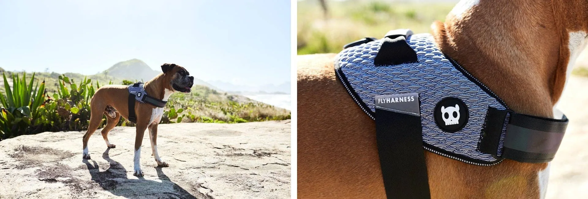 Zee.Dog - Urban | FlyHarness: Size 3