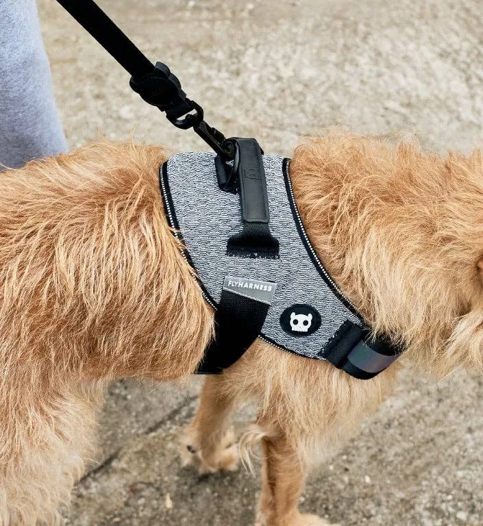 Zee.Dog - Urban | FlyHarness: Size 3