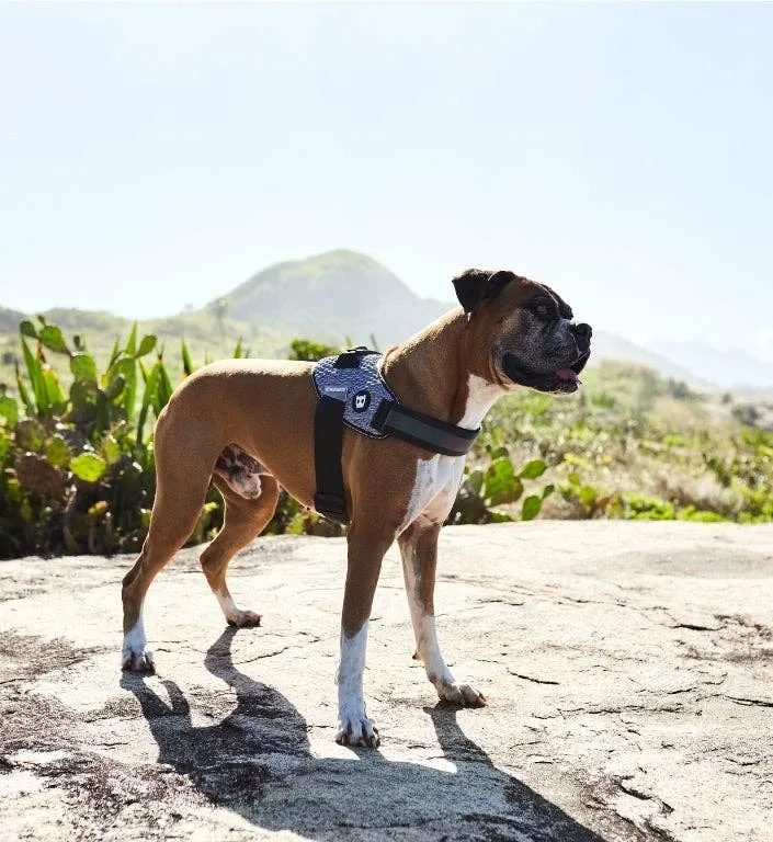 Zee.Dog - Urban | FlyHarness: Size 3