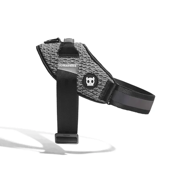 Zee.Dog - Urban | FlyHarness: Size 3