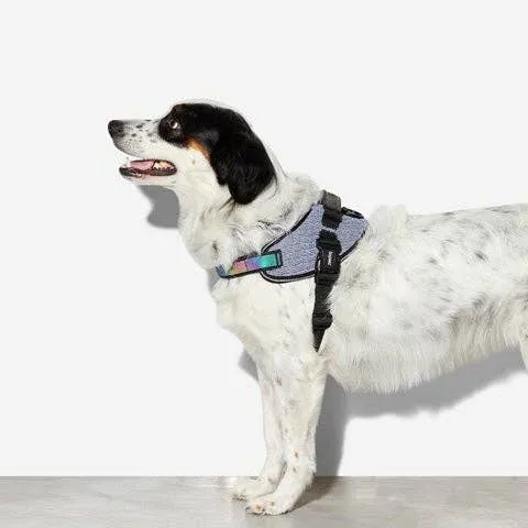 Zee.Dog - Urban | FlyHarness: Size 3