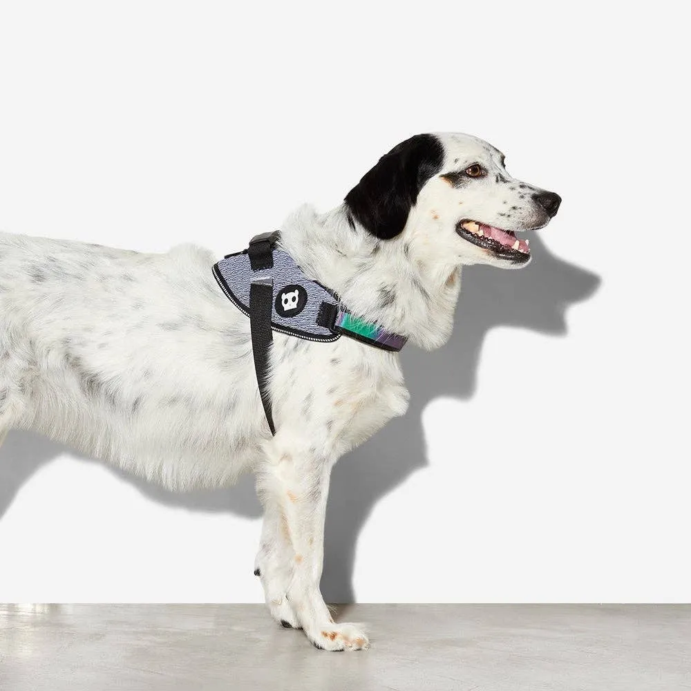 Zee.Dog - Urban | FlyHarness: Size 3