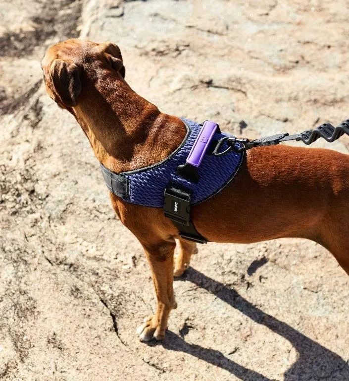 Zee.Dog - Wicked | FlyHarness: Size 3