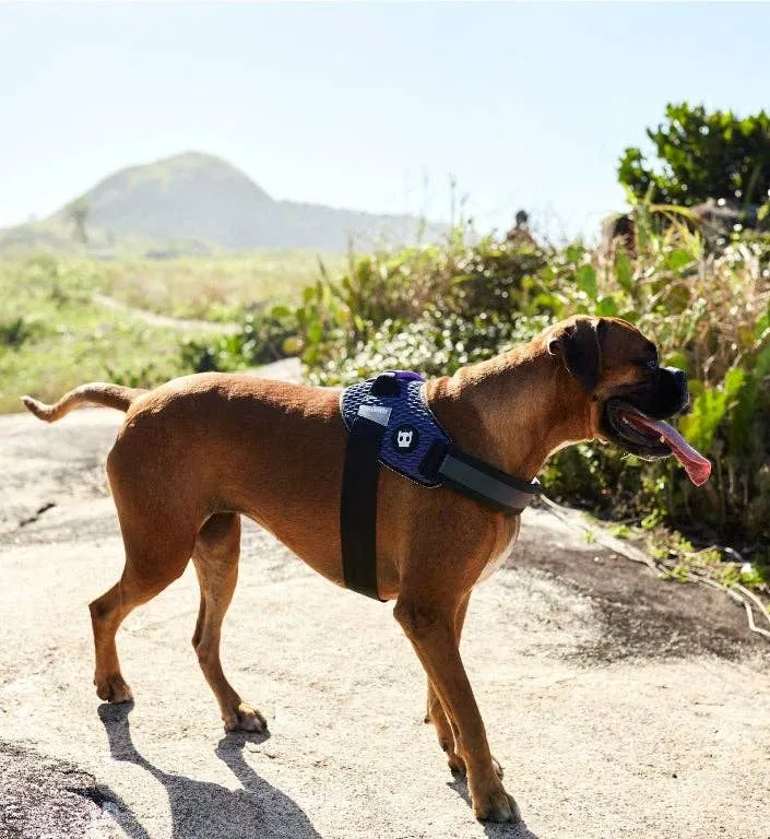 Zee.Dog - Wicked | FlyHarness: Size 3