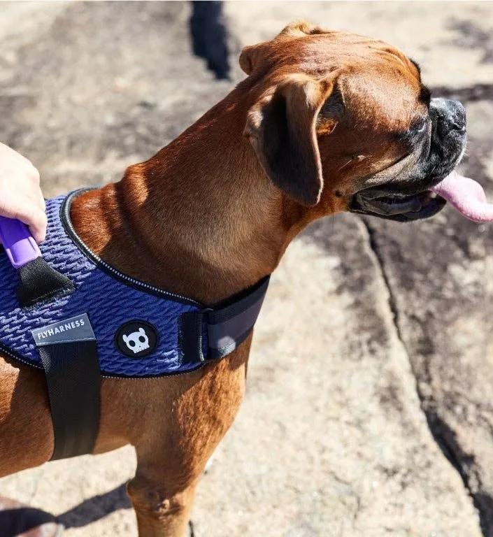 Zee.Dog - Wicked | FlyHarness: Size 3