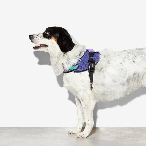 Zee.Dog - Wicked | FlyHarness: Size 3